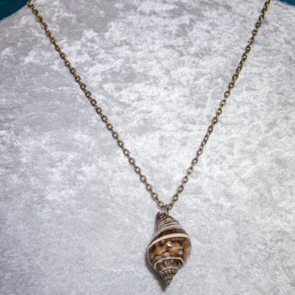 NATURAL Conch Shell Necklace with Chain Gold Tone - Picture 1 of 8